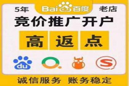 某品牌SEM广告投放的ROI提升案例
